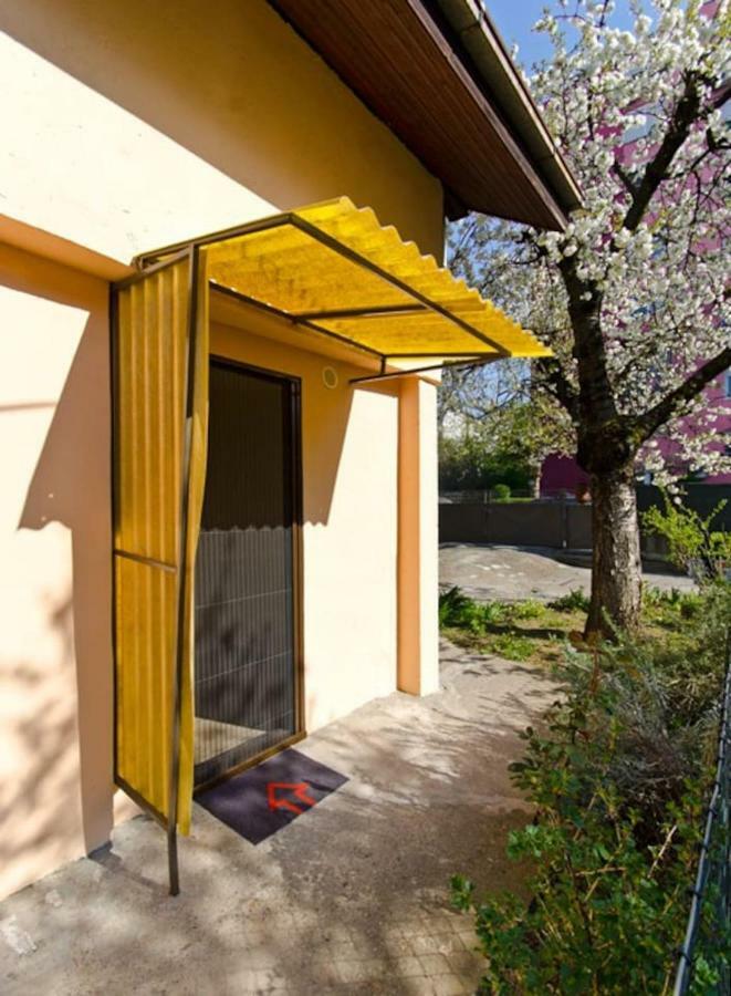 Cherry Tree Art House Belgrad Exteriör bild